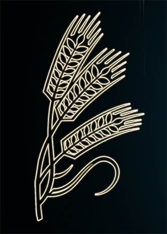 Grain