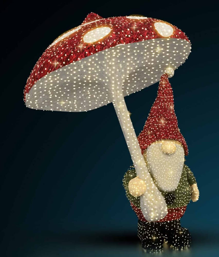 Gnome 01