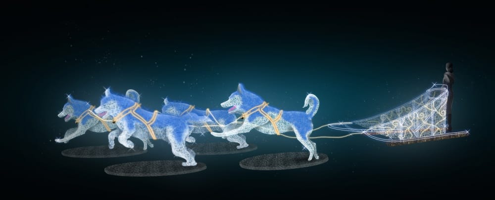 Sleigh team 15/2021