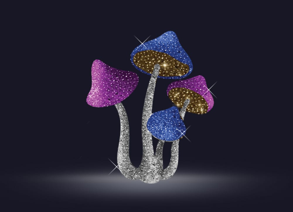 Mushrooms 71/2022